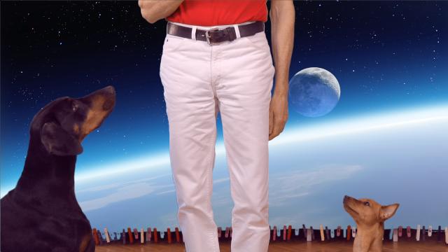Im Karton verkauft werden